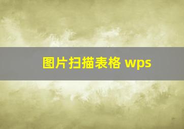 图片扫描表格 wps